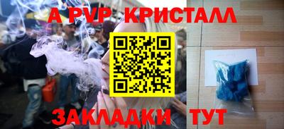 сатива Кингисепп