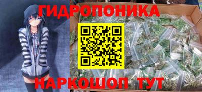 сатива Кингисепп