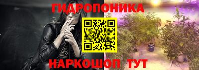 сатива Кингисепп