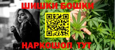 сатива Кингисепп