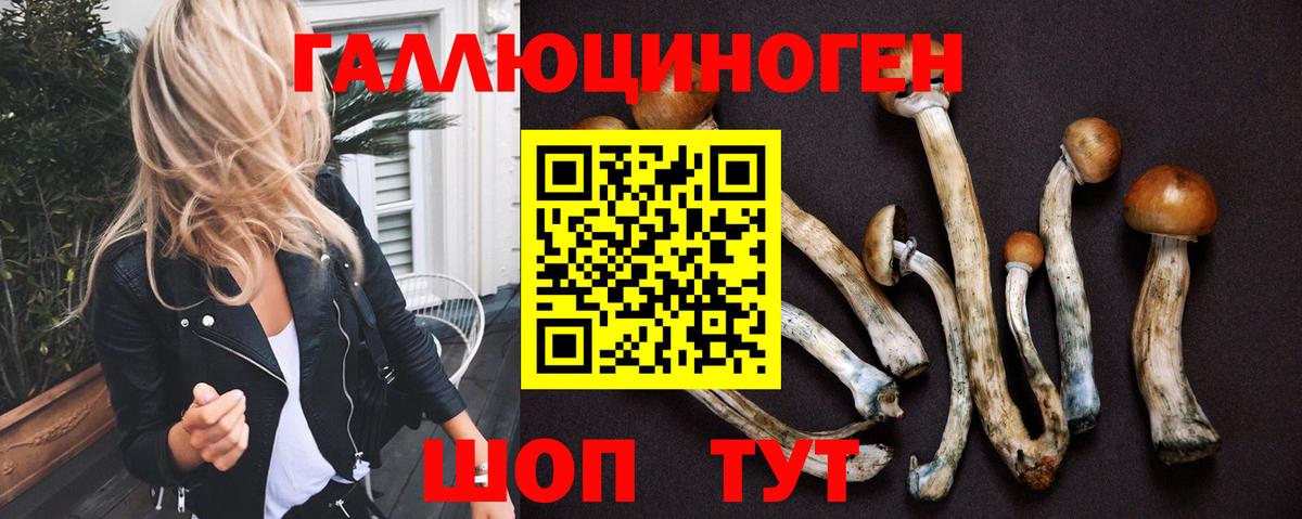 Галлюциногенные грибы Psilocybe Верхняя Салда
